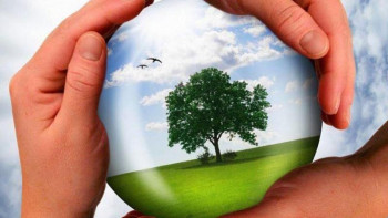 Фотография к новости: «Жасыл кеңсе» байқауы басталды