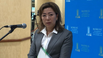 Фотография к новости: Кәсіпкерлердің проблемалық несиелерін қайтару үшін кепілдіктегі мүліктері жеке инвесторларға сатылады