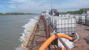 Фотография к новости: Ертіс өзенінің 27 мың гектардан астам аумағы биологиялық препаратпен өңделді