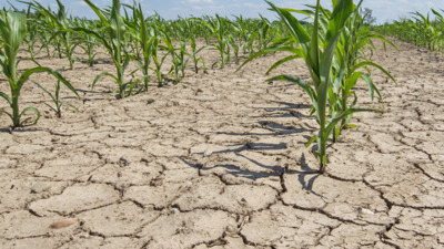 Биыл қуаңшылық келсе министрлік не істейді? – АШМ жауап берді