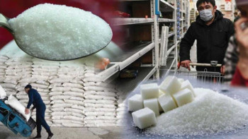 Фотография к новости: Қант бағасының қымбаттауы әлемдік тенденция - Қарашөкеев