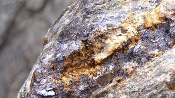 Фотография к новости: Алтын, мырыш, қорғасын. Елімізде жаңа кен орындарын ашуға мүмкіндік бар