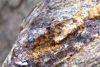 Фотография к новости: Алтын, мырыш, қорғасын. Елімізде жаңа кен орындарын ашуға мүмкіндік бар