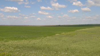 Фотография к новости: Ел бойынша ауыл халқына 22 млн гектар жер жетіспейді - Жұмағазиев