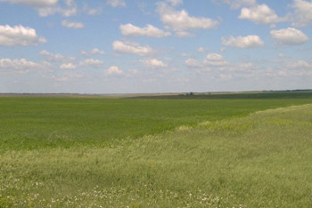 Фотография к новости: Ел бойынша ауыл халқына 22 млн гектар жер жетіспейді - Жұмағазиев