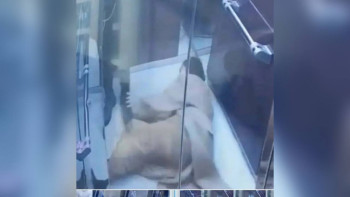 Фотография к новости: Лифтіде болған оқиға: жәбірленуші, агрессор, ана және заң