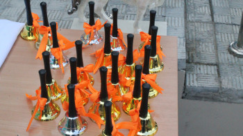 Фотография к новости: Сыңғырла, соңғы қоңырау!