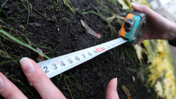 Фотография к новости: Ауыл шаруашылығының пайдаланылмайтын 5 млн гектар жері мемлекеттік меншікке қайтарылады