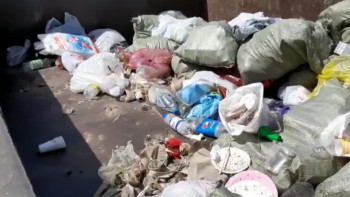 Фотография к новости: Волонтерлер өзен жағасынан 1000 келі тұрмыстық қалдық шығарды