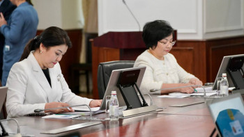 Фотография к новости: Дені сау ұрпақты дүниеге әкелу үшін жүктілікті жоспарлау маңызды - министр