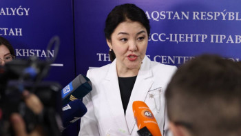 Фотография к новости: Маймылды елімізге кіргізуге тыйым салуы мүмкін бе? - ДСМ жауап берді