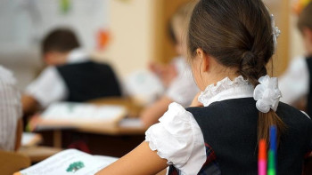 Фотография к новости: Депутаттар бастауыш сыныптарда барлық пәнді тек ана тілінде оқытуды ұсынды