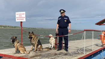 Фотография к новости: Адамдар өз қауіпсіздігіне қойылатын қарапайым талаптарды елемейді – құтқарушы