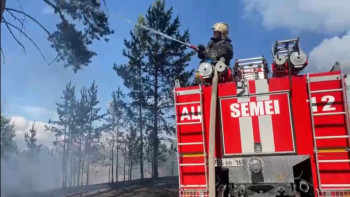 Фотография к новости: Семей орманандағы өрт толығымен сөндірілді