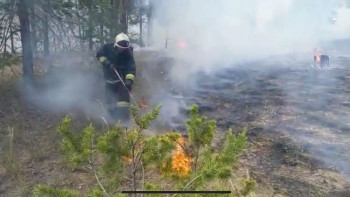 Фотография к новости: Семей орманындағы өрттің таралуы тоқтатылды