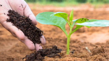 Фотография к новости: Минералды тыңайтқыштар құнының жартысын мемлекет төлейді - АШМ