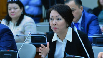 Фотография к новости: Депутат қаржы пирамидаларының жұмысын дер кезінде тоқтатпаған агенттікті сынға алды