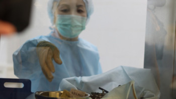 Фотография к новости: Инфекциялық емес ауруларды азайту жолдары белгілі болды