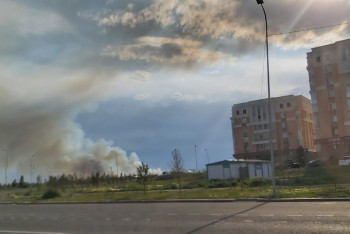 Елордада шыққан өрт 1 гектар жерді шарпыды