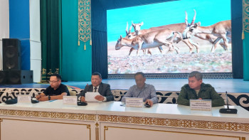 Фотография к новости: Киік саны қалай реттеледі?