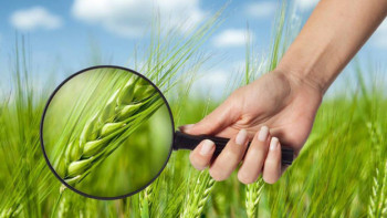 Фотография к новости: АШМ биыл фитосанитариялық талаптарды сақтамаған экспорттаушы елдерге 165 нотификация жіберген