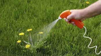 Фотография к новости: Биыл гербицидтерге 40 млрд теңге субсидия бөлінді – АШМ өкілі