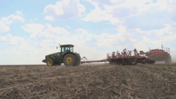 Фотография к новости: Павлодар облысында егіс алқаптары 1 млн 500 мың гектарға жетті