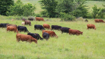 Фотография к новости: Өңірлерде 140 мың гектар жер халыққа қайтарылды – Кәрібек