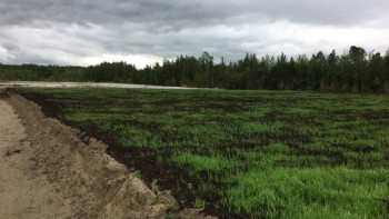 Фотография к новости: Рекультивация жасамау үлкен мәселе тудырып отыр