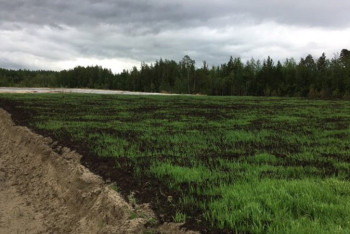 Рекультивация жасамау үлкен мәселе тудырып отыр