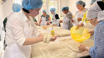 Фотография к новости: "Бір ауыл - бір өнім" жобасы басталды