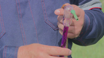 Фотография к новости: Павлодарда сынаптан ластануға қарсы жұмыстар жүргізіліп жатыр