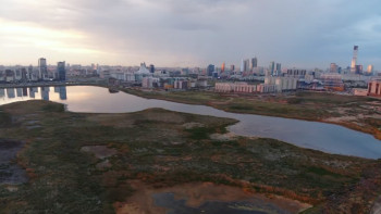 Фотография к новости: Алтай Көлгінов Үлкен Талдыкөл мәселесі туралы айтты