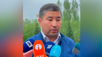 Фотография к новости: Алакөлдегі өрт. Бизнесті себепсіз тексере алмаймыз – ТЖМ