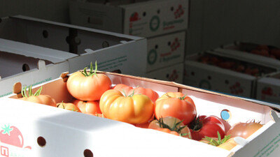 Павлодарлық санитарлық дәрігерлер денсаулыққа зиян келтіретін тауарларды атады