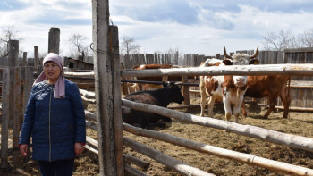 Фотография к новости: Маңғыстауда 793 шаруа қожалығын әйел басқарады – Тінәлиев