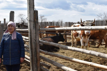 Фотография к новости: Маңғыстауда 793 шаруа қожалығын әйел басқарады – Тінәлиев