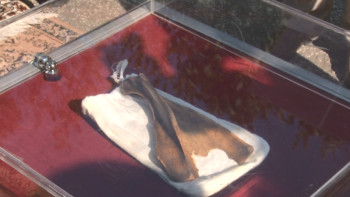 Фотография к новости: Павлодардағы әдебиет және өнер музейі құнды жәдігермен толықты