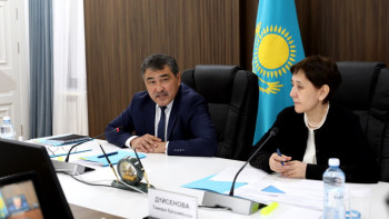 Фотография к новости: Дүйсенова Жамбылдағы әлеуметтік мәселелерді атады