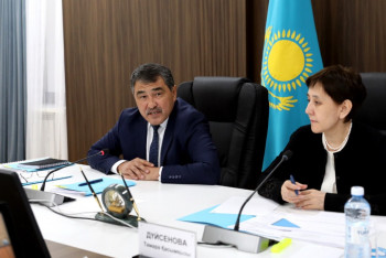 Фотография к новости: Дүйсенова Жамбылдағы әлеуметтік мәселелерді атады