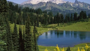 Фотография к новости: Катонқарағайда туристерге арналған ақпараттық орталық ашылады