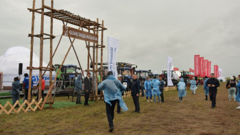 Фотография к новости: Қостанайдағы «Jańa Dala/GreenDay» көрмесі 