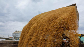 Фотография к новости: Астық экспорты: Бәрі жақсы болғанда Ресей порттары арқылы сауда жасағанбыз