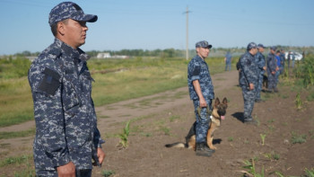 Фотография к новости: Мәдинадан хабар жоқ