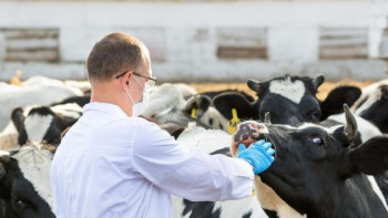 Фотография к новости: Жыл соңына дейін ветеринарлардың жалақысы  60%-ға артады