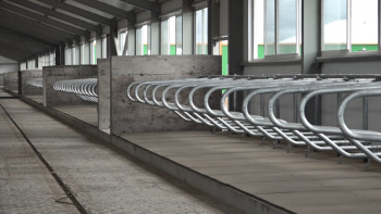 Фотография к новости: Павлодар облысында сүт  фермасы салынып жатыр