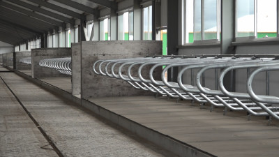 Павлодар облысында сүт  фермасы салынып жатыр