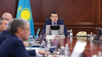 Фотография к новости: Смайылов мал азығын жинауда қандай өңірлер кешігіп жатқанын айтты