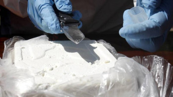 Фотография к новости: Елімізде 9,5 млн доллардың  есірткісі тәркіленді