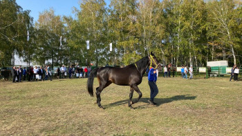 Фотография к новости: СҚО-да малшылар слеті өтті